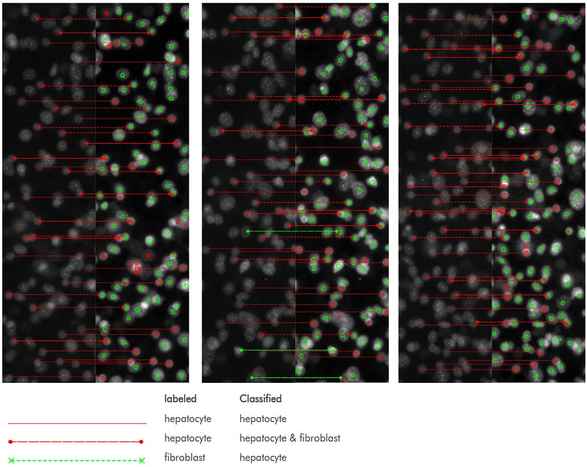 Original Labels and Classifications for Comparison